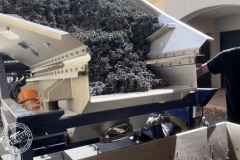 Vendanges-2022-17.1