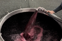 Vendanges-2022-20