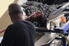 Vendanges-2022-24