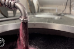 Vendanges-2022-3
